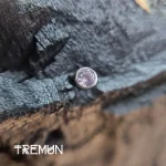 tremun web 3368_11zon