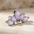 Pam Crown – Light Peony - TRM10917_1