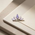 Pam Crown – Light Peony - TRM10917_2