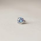 Prong SW – AB - TRM10961_1