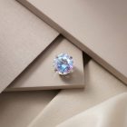 Prong SW – AB - TRM10961_2