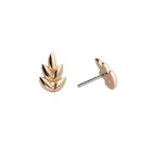 Tremun web 2691 (1)_11zon