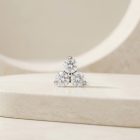 Trinity – SW - TRM10900_3