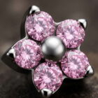 Lori – Pink - TRM11080_2