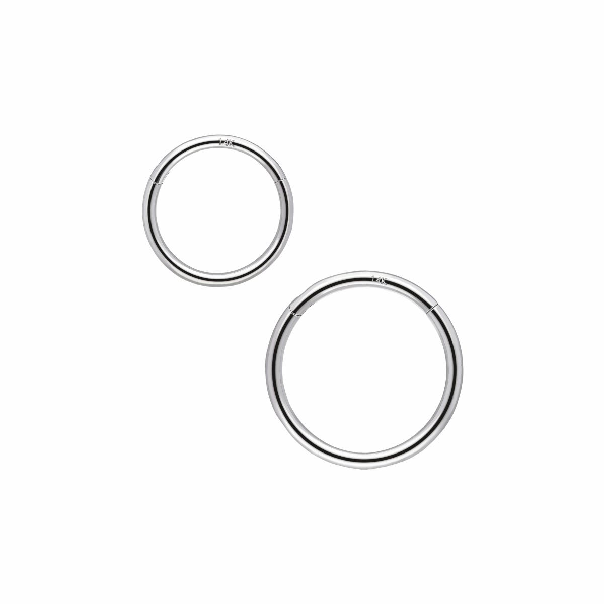 02-03-2026_2 copia (1)