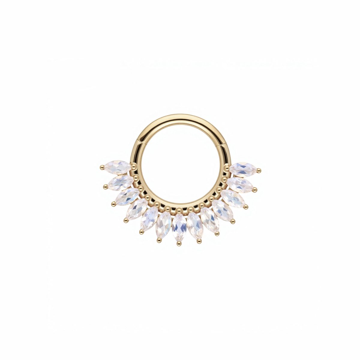 07-11-2025_1 copia (1)