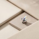 Cone Top – SW – AB - TRM11183_2